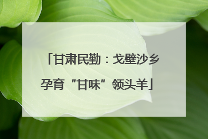 甘肃民勤：戈壁沙乡孕育“甘味”领头羊