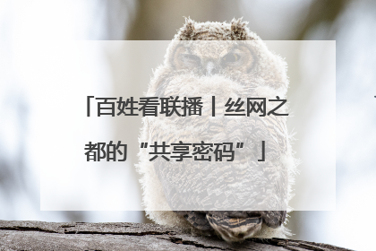 百姓看联播丨丝网之都的“共享密码”