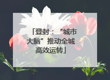 登封：“城市大脑”推动全城高效运转