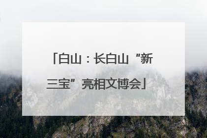 白山：长白山“新三宝”亮相文博会