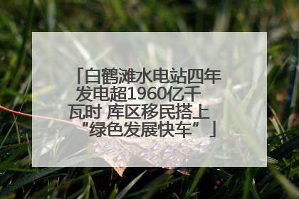 白鹤滩水电站四年发电超1960亿千瓦时 库区移民搭上“绿色发展快车”