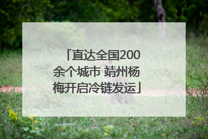 直达全国200余个城市 靖州杨梅开启冷链发运
