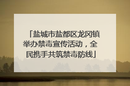 盐城市盐都区龙冈镇举办禁毒宣传活动，全民携手共筑禁毒防线