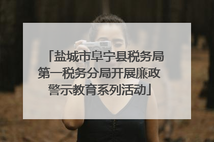 盐城市阜宁县税务局第一税务分局开展廉政警示教育系列活动