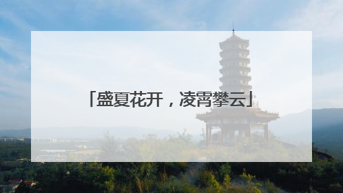 盛夏花开，凌霄攀云