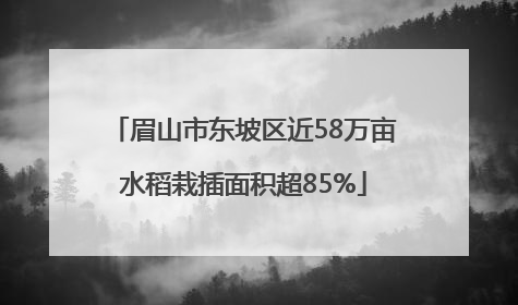 眉山市东坡区近58万亩水稻栽插面积超85%
