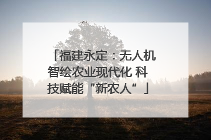 福建永定：无人机智绘农业现代化 科技赋能“新农人”