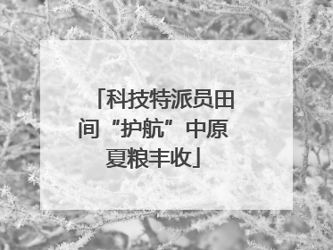 科技特派员田间“护航”中原夏粮丰收