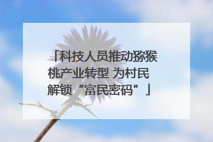 科技人员推动猕猴桃产业转型 为村民解锁“富民密码”