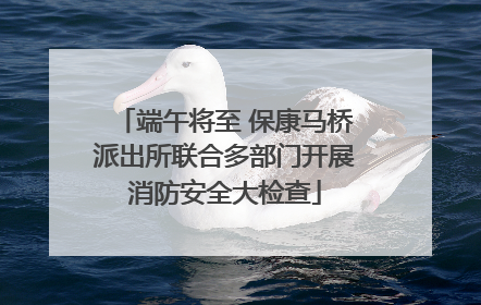 端午将至 保康马桥派出所联合多部门开展消防安全大检查