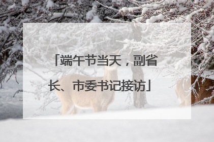 端午节当天，副省长、市委书记接访
