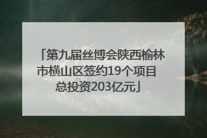 第九届丝博会陕西榆林市横山区签约19个项目 总投资203亿元