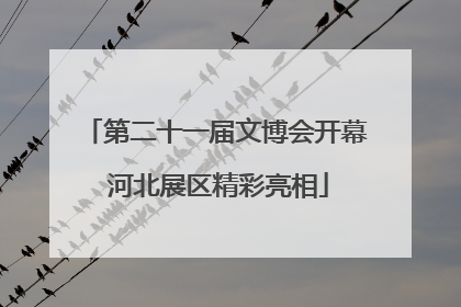 第二十一届文博会开幕 河北展区精彩亮相