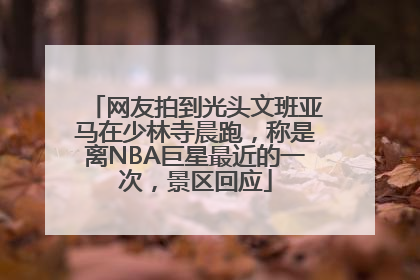 网友拍到光头文班亚马在少林寺晨跑，称是离NBA巨星最近的一次，景区回应