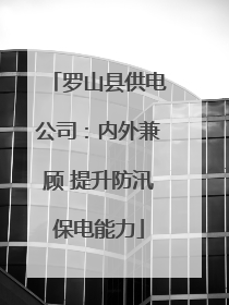 罗山县供电公司：内外兼顾 提升防汛保电能力
