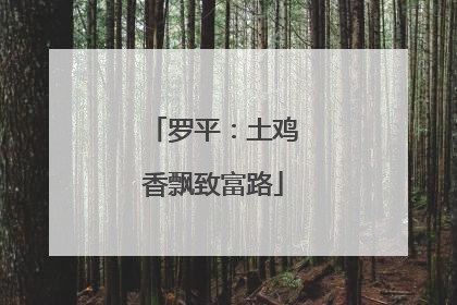 罗平：土鸡香飘致富路