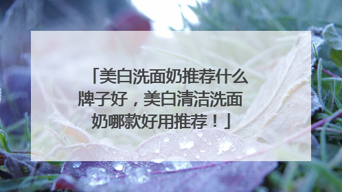 美白洗面奶推荐什么牌子好，美白清洁洗面奶哪款好用推荐！