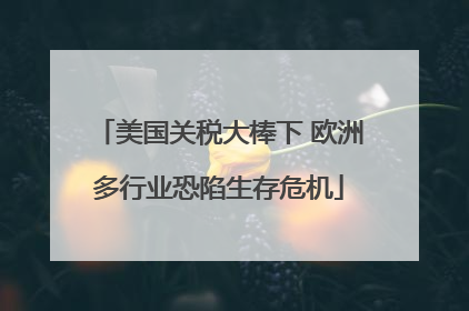 美国关税大棒下 欧洲多行业恐陷生存危机