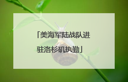 美海军陆战队进驻洛杉矶执勤