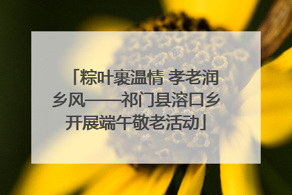 粽叶裹温情 孝老润乡风——祁门县溶口乡开展端午敬老活动