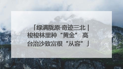 绿满陇原·奇迹三北｜梭梭林里种“黄金” 高台治沙致富很“从容”