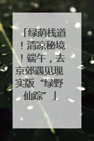 绿荫栈道！清凉秘境！端午，去京郊遇见现实版“绿野仙踪”
