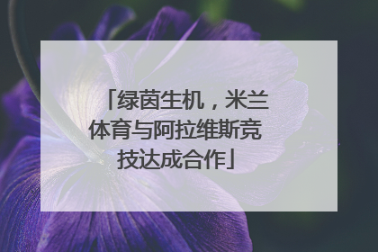 绿茵生机，米兰体育与阿拉维斯竞技达成合作