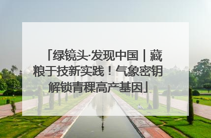 绿镜头·发现中国｜藏粮于技新实践！气象密钥解锁青稞高产基因