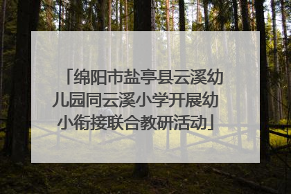 绵阳市盐亭县云溪幼儿园同云溪小学开展幼小衔接联合教研活动