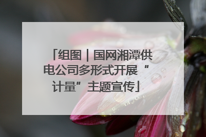 组图｜国网湘潭供电公司多形式开展“计量”主题宣传