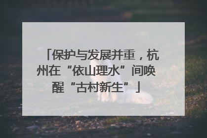 保护与发展并重，杭州在“依山理水”间唤醒“古村新生”