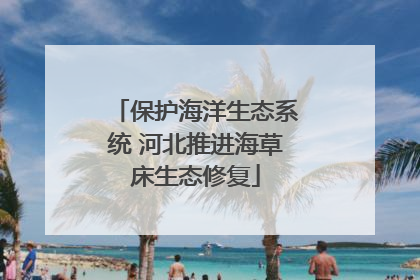 保护海洋生态系统 河北推进海草床生态修复