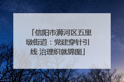 信阳市浉河区五里墩街道：党建穿针引线 治理织就锦图
