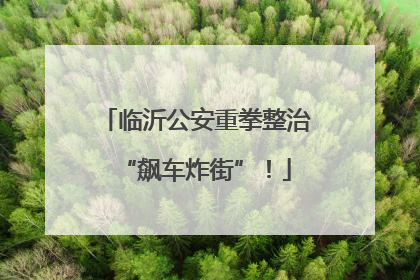 临沂公安重拳整治“飙车炸街”！