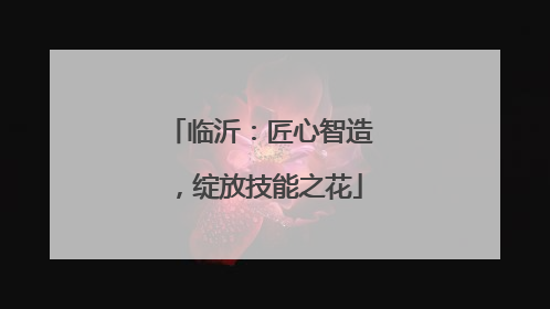 临沂：匠心智造，绽放技能之花