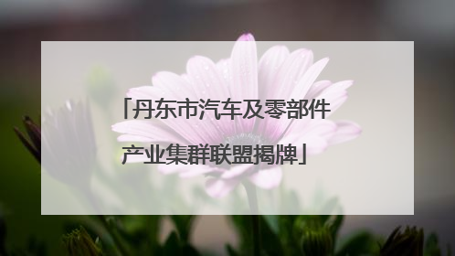 丹东市汽车及零部件产业集群联盟揭牌