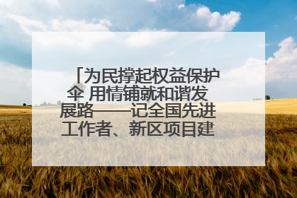 为民撑起权益保护伞 用情铺就和谐发展路——记全国先进工作者、新区项目建设中心干部卢小勇