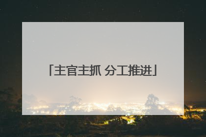 主官主抓 分工推进