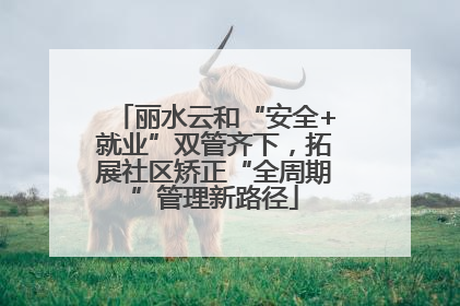丽水云和“安全+就业”双管齐下，拓展社区矫正“全周期”管理新路径