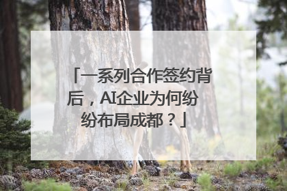 一系列合作签约背后，AI企业为何纷纷布局成都？