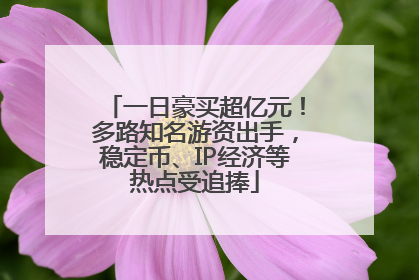 一日豪买超亿元！多路知名游资出手，稳定币、IP经济等热点受追捧