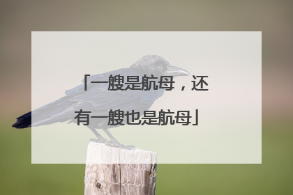 一艘是航母，还有一艘也是航母