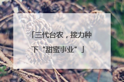 三代台农，接力种下“甜蜜事业”