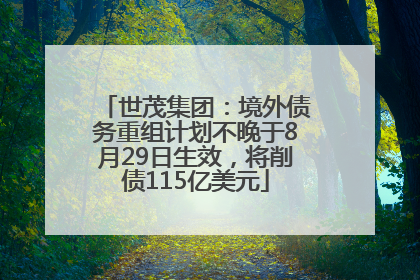 世茂集团：境外债务重组计划不晚于8月29日生效，将削债115亿美元