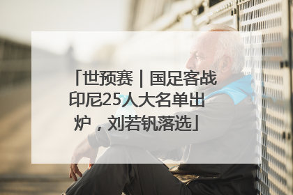 世预赛｜国足客战印尼25人大名单出炉，刘若钒落选