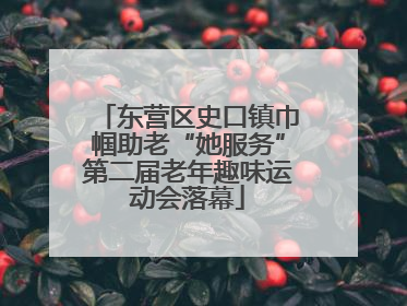东营区史口镇巾帼助老“她服务”第二届老年趣味运动会落幕