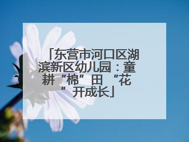 东营市河口区湖滨新区幼儿园：童耕“棉”田 “花”开成长