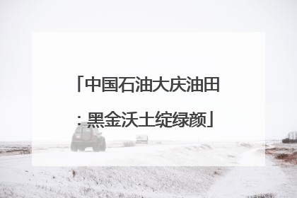 中国石油大庆油田：黑金沃土绽绿颜