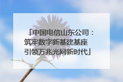 中国电信山东公司：筑牢数字新基建基座 引领万兆光网新时代