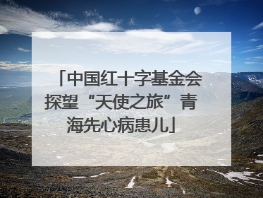 中国红十字基金会探望“天使之旅”青海先心病患儿